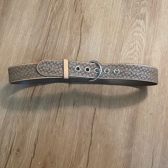 Coach belt - Picture 1 of 5